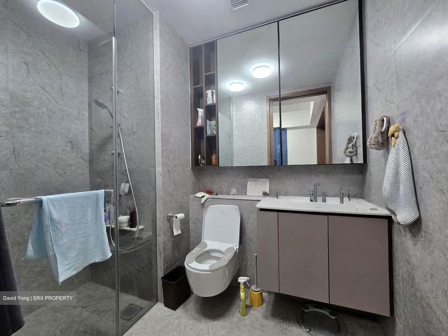 Verdale (D21), Apartment #555980091